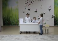 img (16)